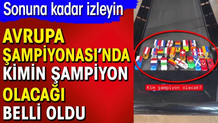 Avrupa Şampiyonası'nda kimin şampiyon olacağı belli oldu. Sonuna kadar izleyin