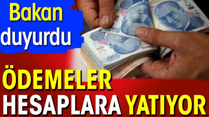 Ödemeler hesaplara yatıyor. Bakan duyurdu