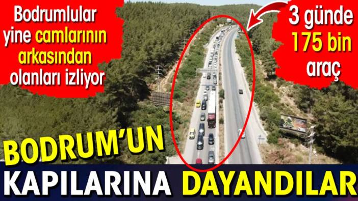 Bodrumun kapılarına dayandılar. Bodrumlular yine camlarının arkasından olanları izliyor