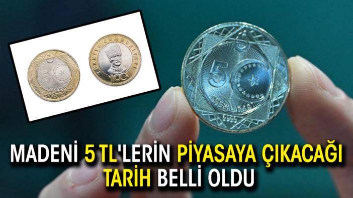 Madeni 5 TL'lerin piyasaya çıkacağı tarih belli oldu