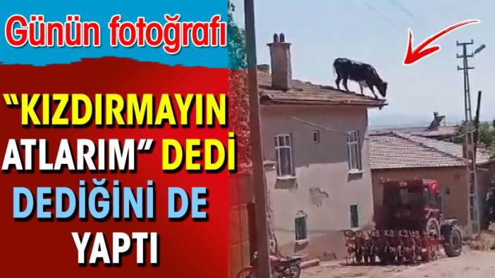 'Kızdırmayın atlarım' dedi dediğini de yaptı. Günün fotoğrafı