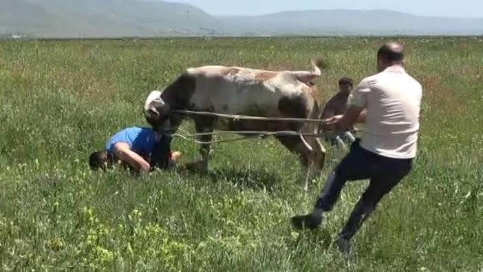 Boğanın boynuzundan son anda kurtuldu