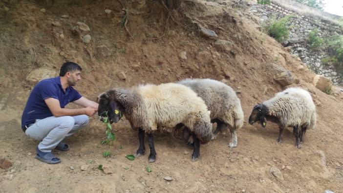 Arefe gecesi firar ettiler 20 kilometre uzaklıkta bulundular