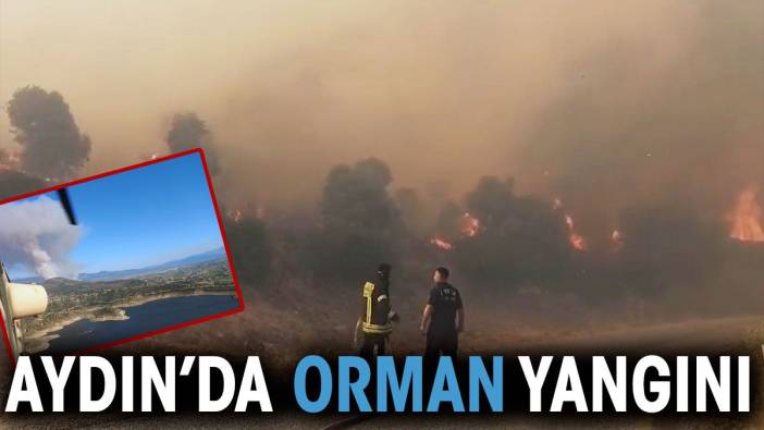 Aydın’da orman yangını