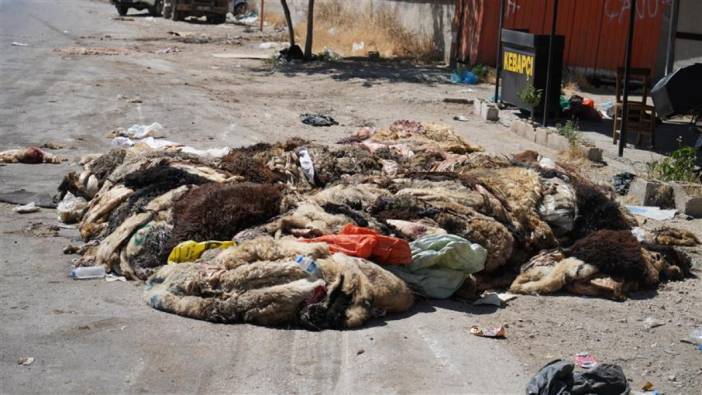 Suriyelilerin Gaziantep'te mide bulandıran görüntüler