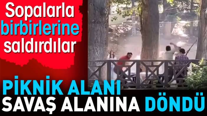 Piknik alanı savaş alanına döndü. Sopalarla birbirlerine saldırdılar