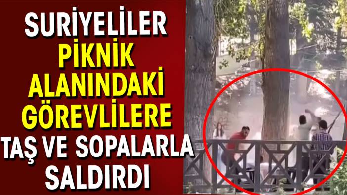 Suriyeliler piknik alanındaki görevlilere taş ve sopalarla saldırdı