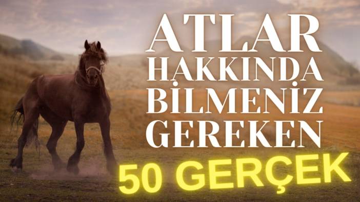 Atlar hakkında bilmeniz gereken 50 gerçek