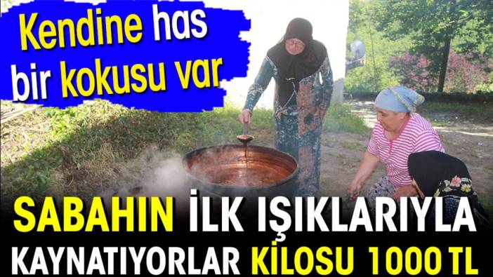 Sabahın ilk ışıklarıyla kaynatıyorlar kilosu 1000 TL! Kendine has kokusu var