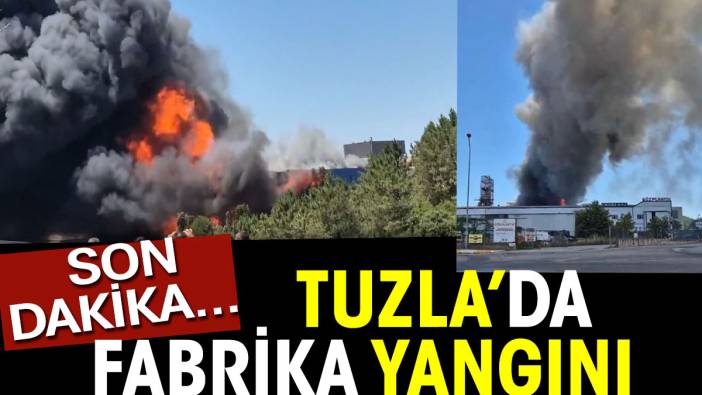 Tuzla'da fabrika yangını