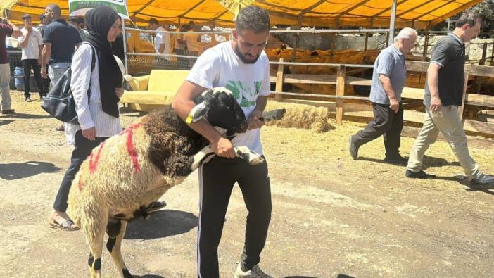 Bayramın 3. gününde kurbanlık alma telaşı