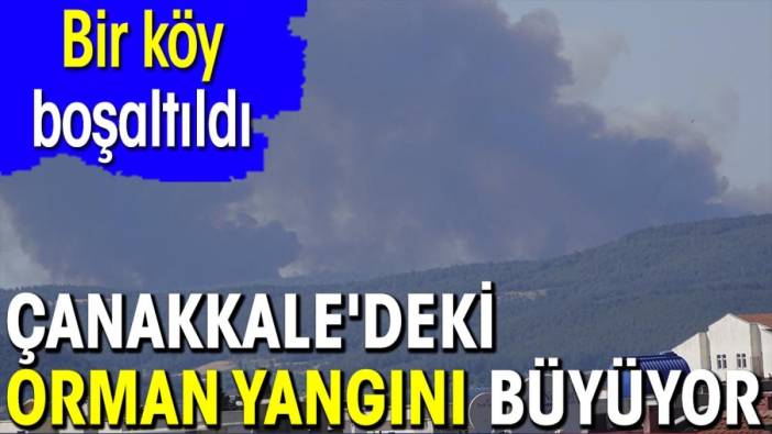 Çanakkale'deki orman yangını büyüyor. Bir köy boşaltıldı