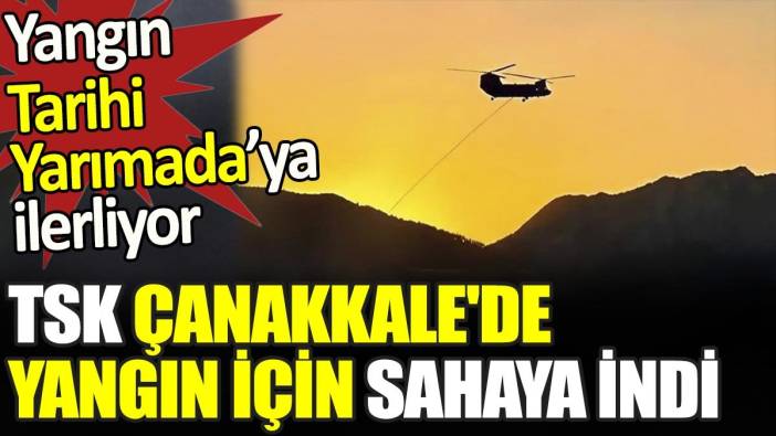 TSK Çanakkale'de yangın için sahaya indi. Yangın Tarihi Yarımada’ya ilerliyor