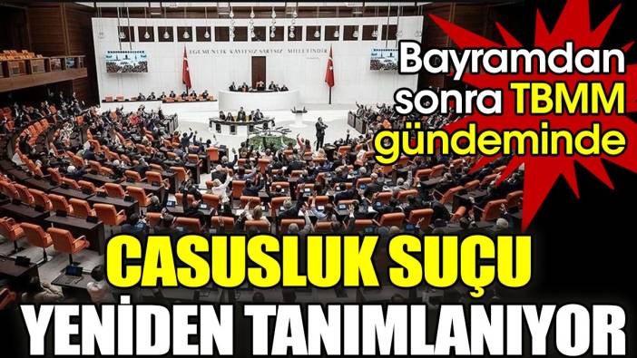 Casusluk suçu yeniden tanımlanıyor: Bayramdan sonra TBMM gündeminde