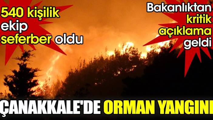 Çanakkale'de orman yangını: 540 kişilik ekip seferber oldu