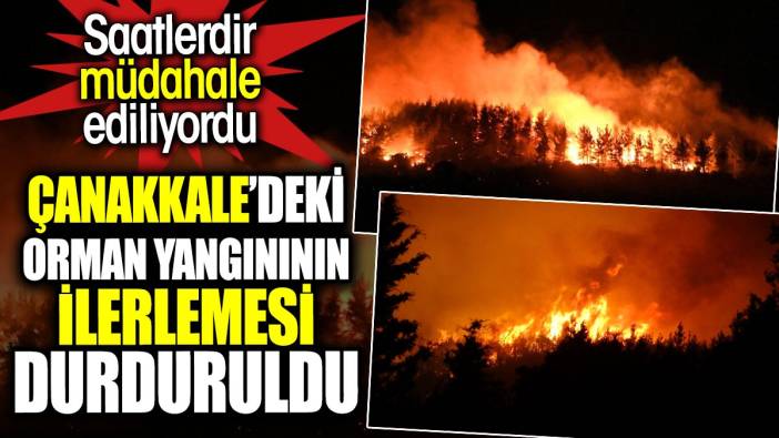 Çanakkale’deki orman yangınının ilerlemesi durduruldu. Saatlerdir müdahale ediliyordu