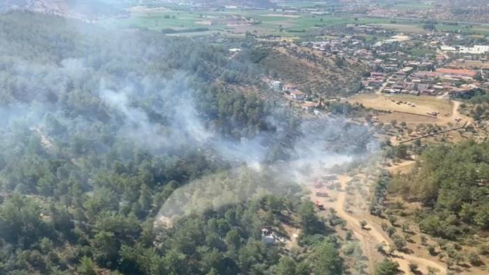 Milas’taki yangından iyi haber