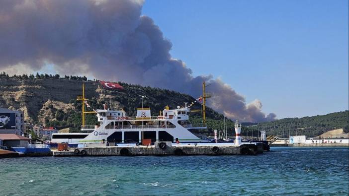 Çanakkale'deki Tarihi Alan'ın güney hattı ziyarete açıldı! Orman yangınında kapatılmıştı