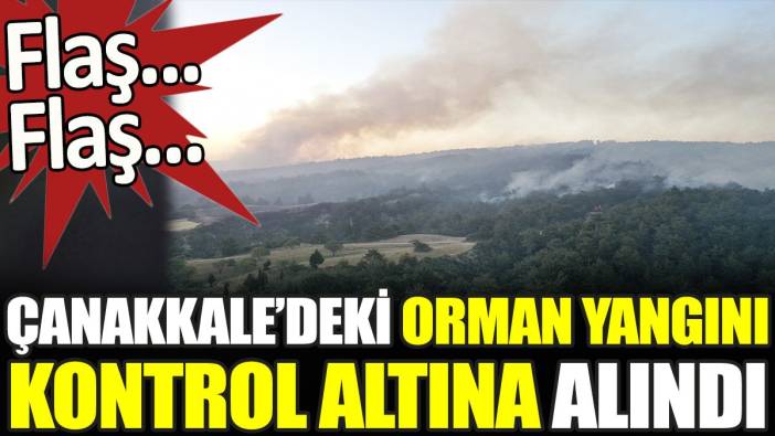 Çanakkale'deki orman yangını kontrol altına alındı