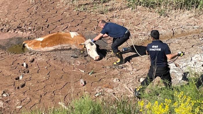 Bataklığa saplanan ineğin yardımına itfaiye yetişti