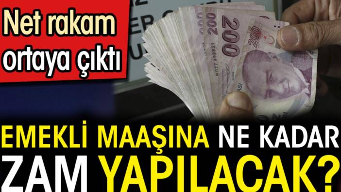 Emekli maaşına ne kadar zam yapılacak? Net rakam ortaya çıktı