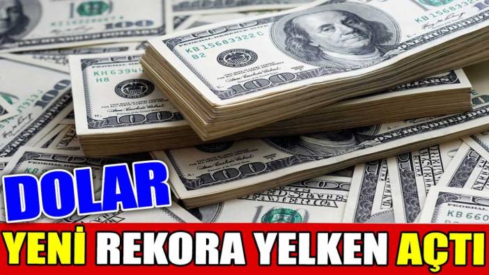 Dolar yeni rekora yelken açtı