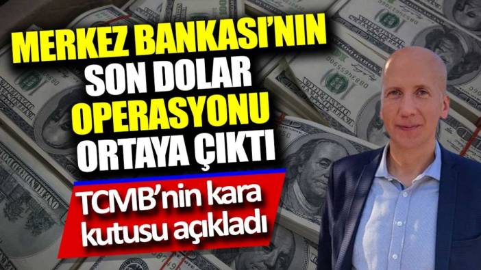 Merkez Bankası'nın son dolar operasyonu ortaya çıktı. TCMB'nin kara kutusu açıkladı