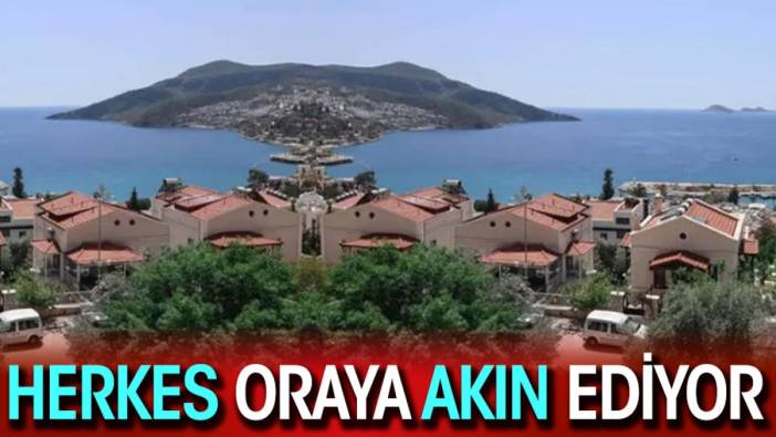 Herkes oraya akın ediyor