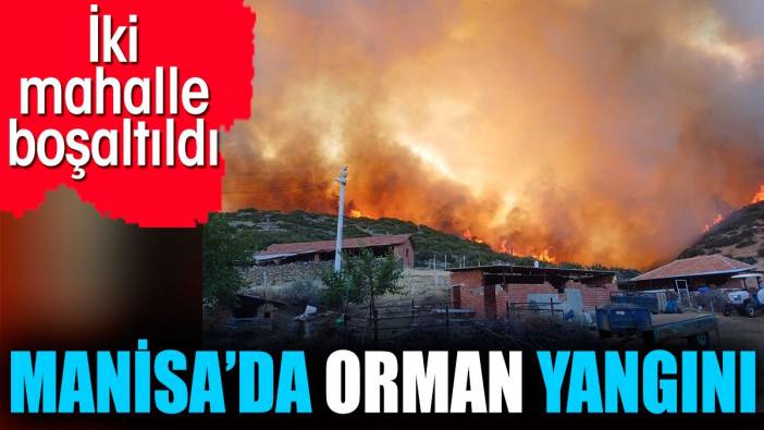 Manisa’da orman yangını. İki mahalle boşaltıldı