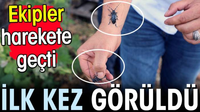 İlk kez görüldü ekipler harekete geçti