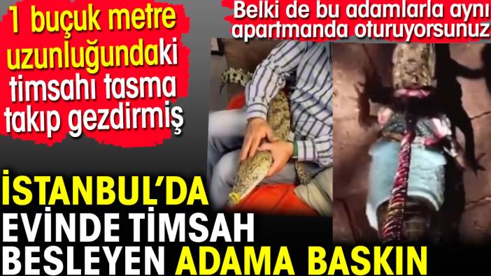 İstanbul'da evinde timsah besleyen adama baskın. Belki de bu adamlarla aynı apartmanda oturuyorsunuz