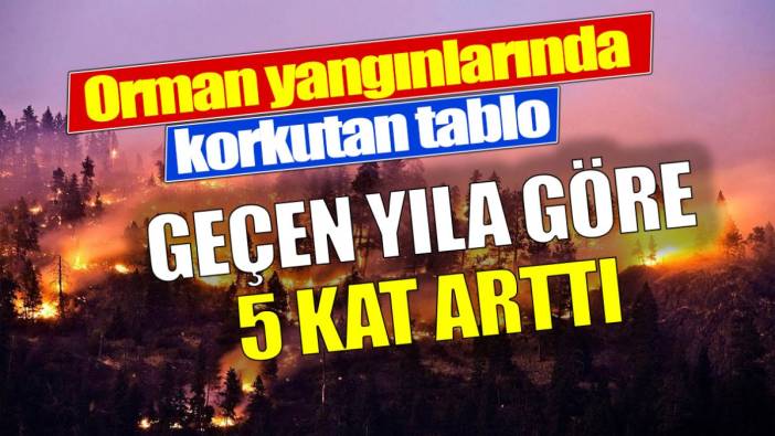 Orman yangınlarında korkutan tablo. Geçen yıla göre 5 kat arttı