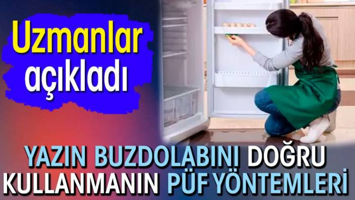 Yazın buzdolabını doğru kullanmanın püf yöntemleri