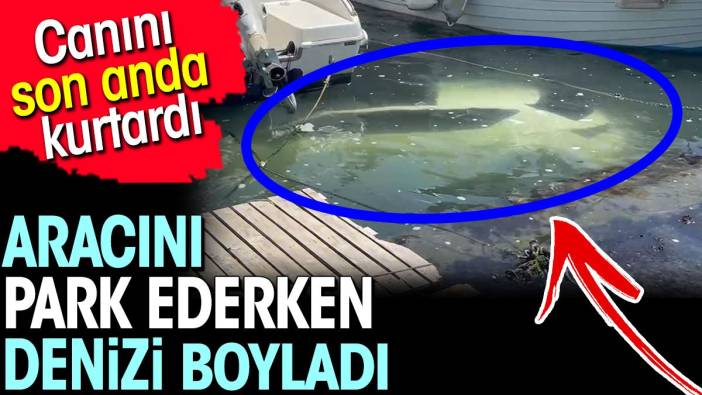 Aracını park ederken denizi boyladı. Canını son anda kurtardı