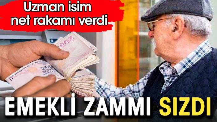 Emeklinin Temmuz zammı sızdı. SGK uzmanı son rakamı verdi