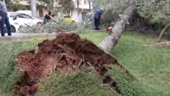 Şiddetli rüzgar çatılara ve araçlara zarar verdi