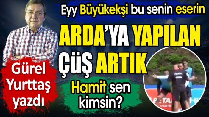 Arda'ya yapılan çüş artık. Hesap ver Büyükekşi. Hamit sen kimsin?