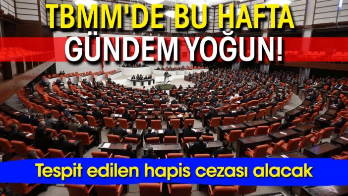 TBMM'de bu hafta gündem yoğun! Tespit edilen hapis cezası alacak