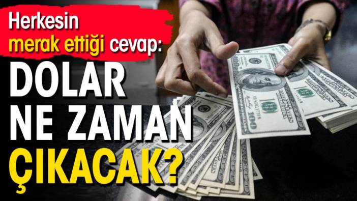 Ünlü ekonomist yanıtladı: Dolar ne zaman çıkacak?