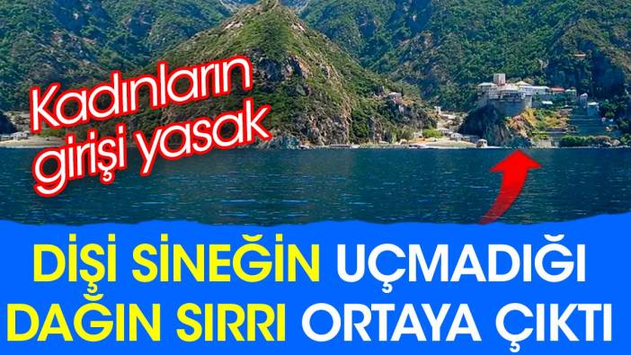 Kadınların girişi yasak. Dişi sineğin uçmadığı dağın sırrı ortaya çıktı