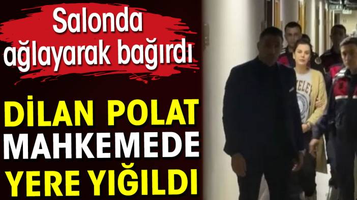 Dilan Polat mahkemede yere yığıldı. Salonda ağlayarak bağırdı