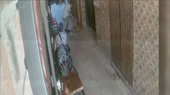Pamukkale Kafeler Sokağı'nda sevmek istediği sokak köpeği ısırdı
