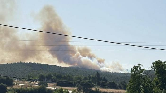 Çanakkale’deki orman yangını kontrol altına alındı