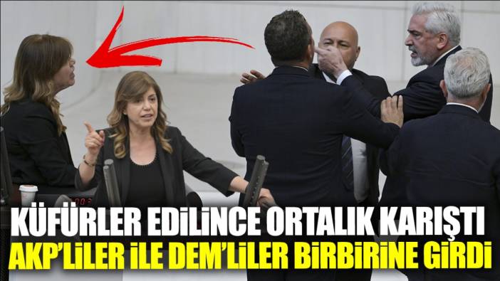 AKP'liler ile DEM'liler birbirine girdi! Küfür edilince Meclis karıştı