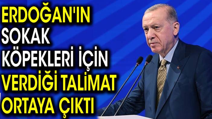 Erdoğan'ın sokak köpekleri için verdiği talimat ortaya çıktı