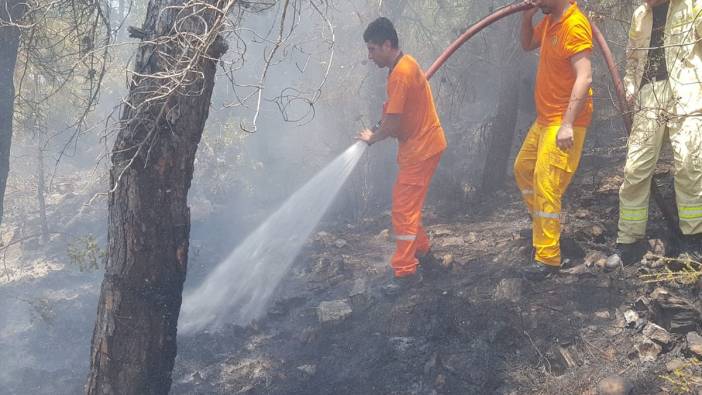 Alanya’daki orman yangını büyümeden kontrol altına alındı