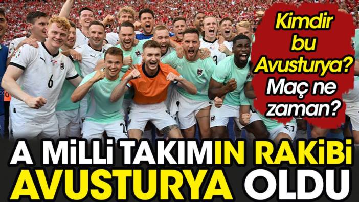 A Milli Takım'ın rakibi Avusturya oldu. Kimdir bu Avusturya? Maç ne zaman?