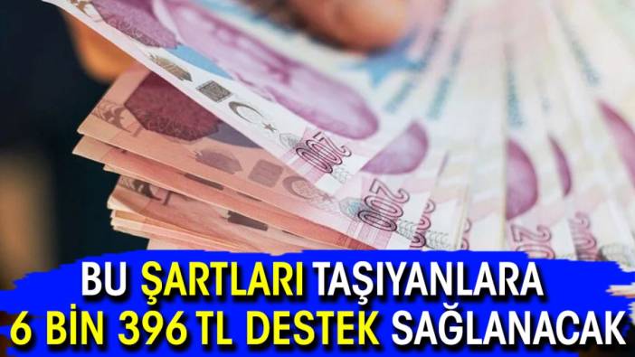 Bu şartları taşıyanlara 6 Bin 396 TL destek sağlanacak