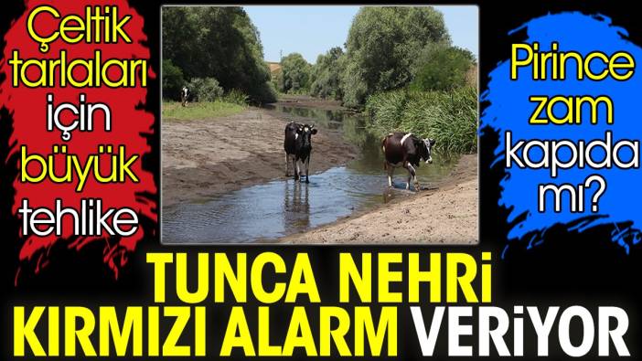 Tunca Nehri kırmızı alarm veriyor. Çeltik tarlaları için büyük tehlike. Pirince zam kapıda mı?