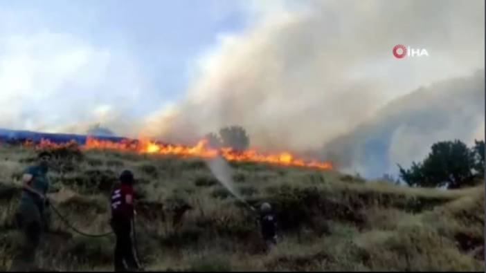 Adıyaman'daki yangınlarda 14 hektar alan zarar gördü